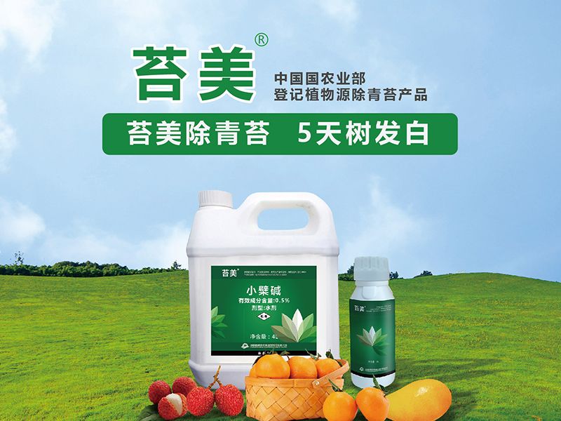 官网首页产品推荐图-苔美.jpg