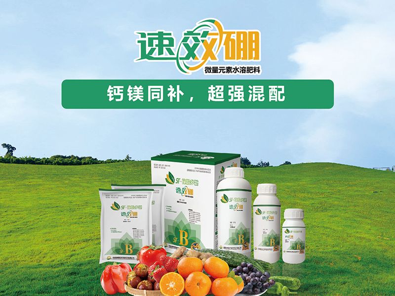 官网首页产品推荐图-速效硼.jpg