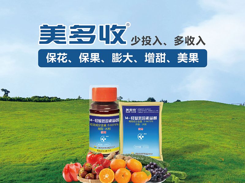 官网首页产品推荐图-美多收.jpg