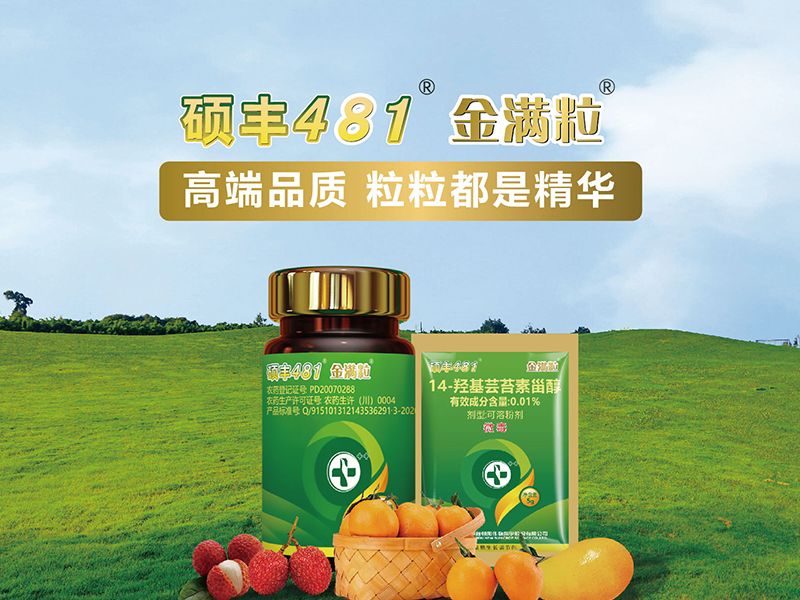 官网首页产品推荐图-金满粒.jpg