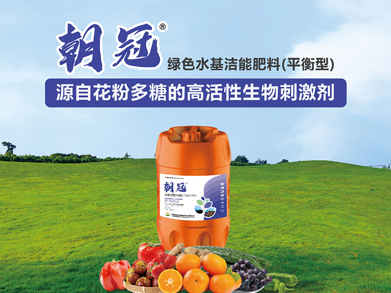 官网首页产品推荐图-朝冠.png