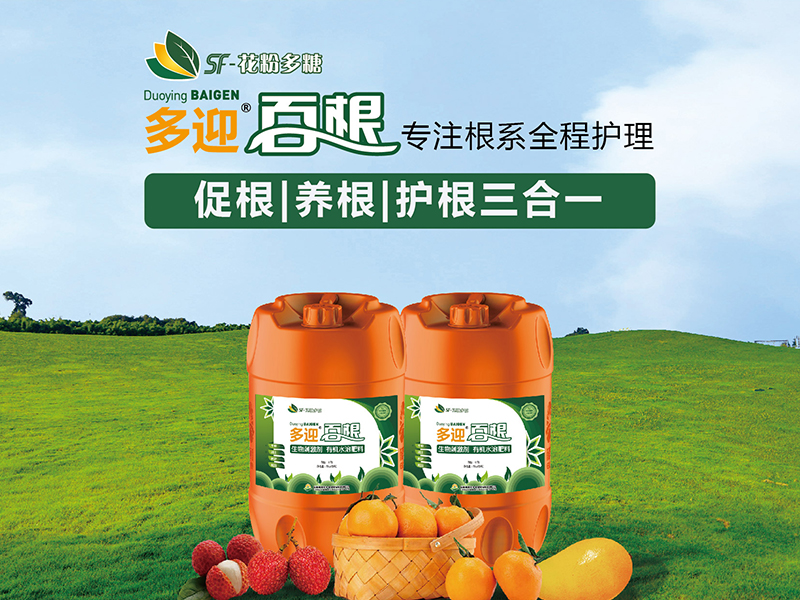 官网首页产品推荐图-多迎百根.png