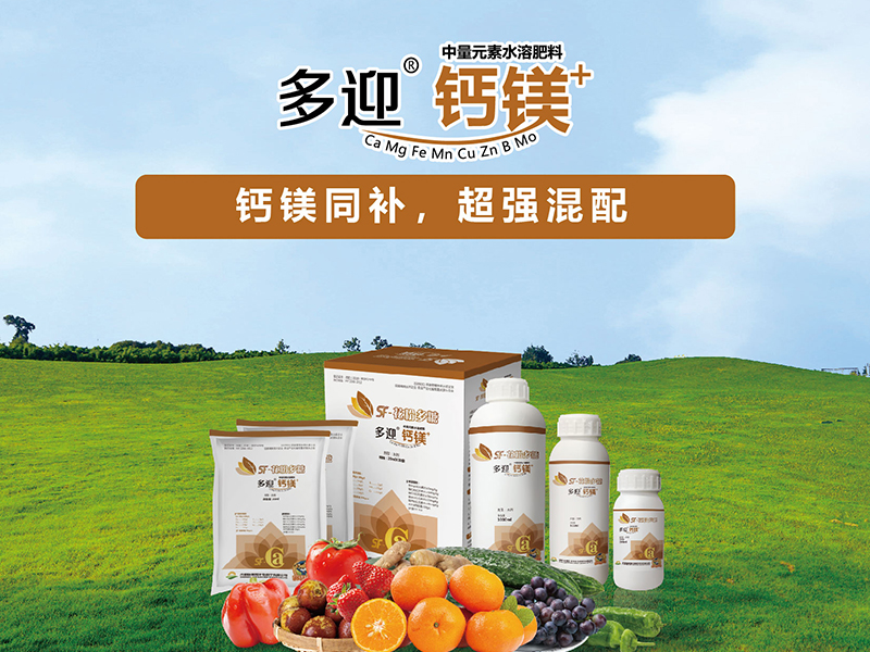 官网首页产品推荐图-多迎钙镁.png