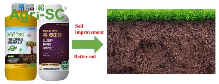 How Soil conditioner Agri-SC- L promotes root grow and increases yields？