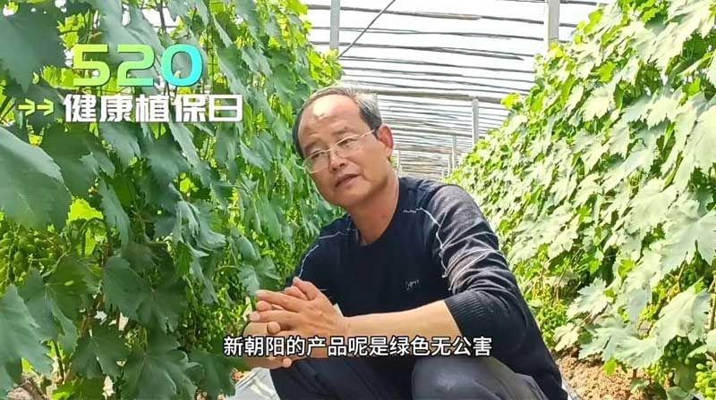 520健康植保日——拥抱绿色农业，我们在行动