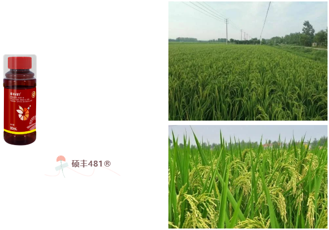 QQ截图20230720111303.png