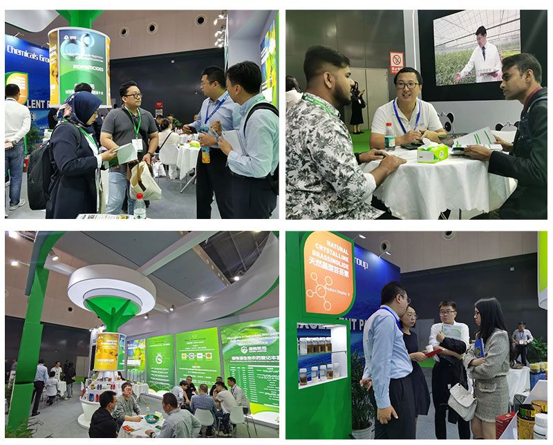 New Sun Appears at the International Agrochemical Products Exhibition in 2023 and The Third National Conference on the Transformation of Agricultural Science and Technology Achievements