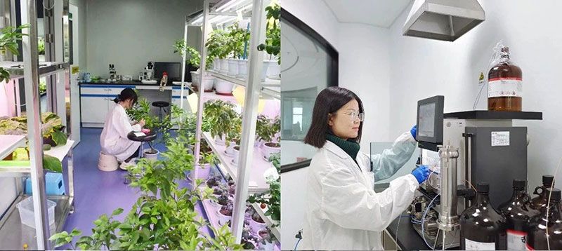 打造新朝阳生物科技“五张名片”，服务农业高质量发展！