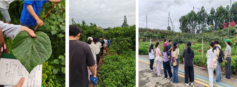首个!中国农业大学携手新朝阳启动“朝阳稼穑计划”