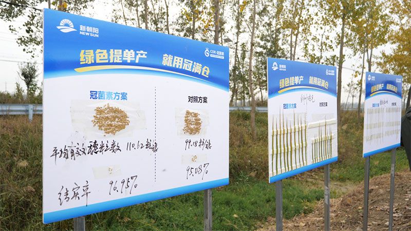 绿色提单产就用冠菌素 开辟粮食抗逆增产新路径