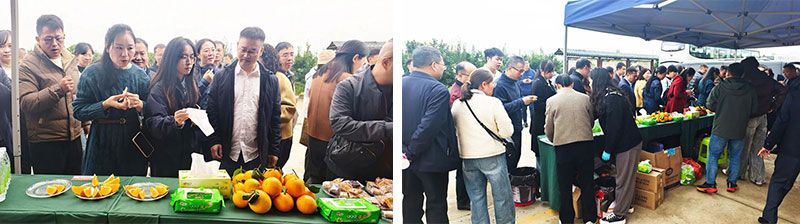 新朝阳生物技术助力绿色防控，推动柑橘产业绿色高质量发展