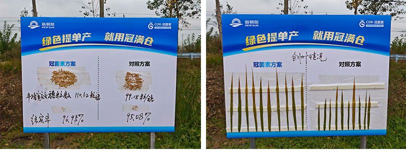 成都新朝阳COR冠菌素入选“2025中国农业重大新产品”