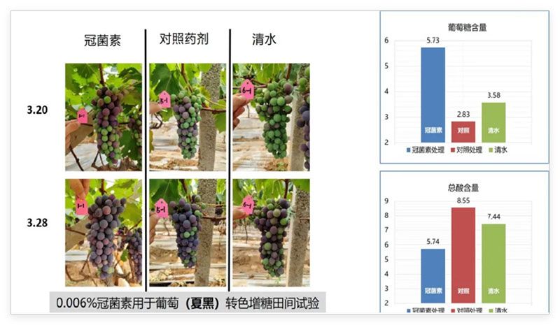 成都新朝阳COR冠菌素入选“2025中国农业重大新产品”