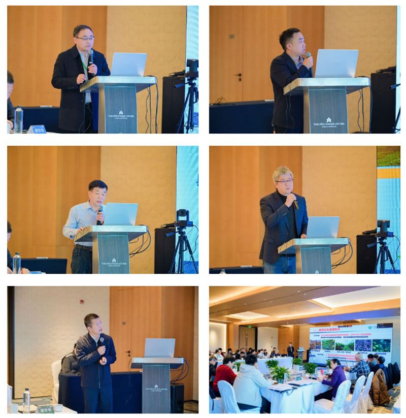 新朝阳牵头的国家重点研发计划项目中期总结会在成都召开