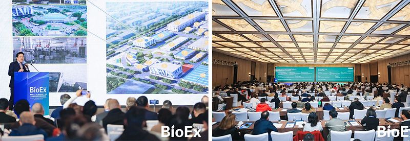 新朝阳亮相BioEx 2026：技术供给+属地化协同，推动高性能生物刺激素高效落地