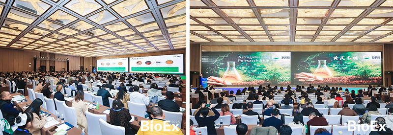 新朝阳亮相BioEx 2026：技术供给+属地化协同，推动高性能生物刺激素高效落地