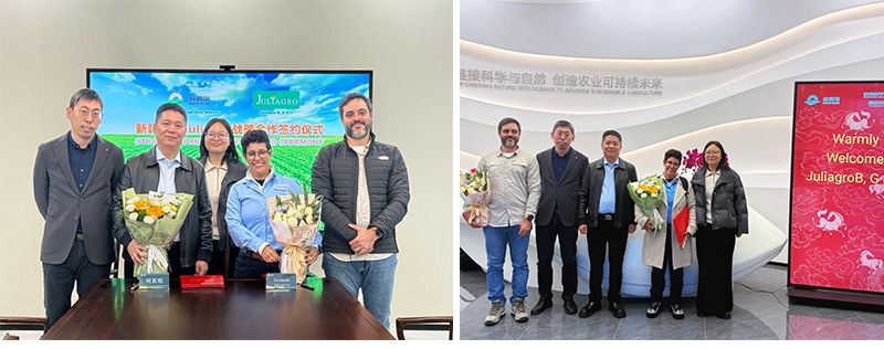 深化国际化布局，新朝阳与巴西Juliagro签署战略合作协议