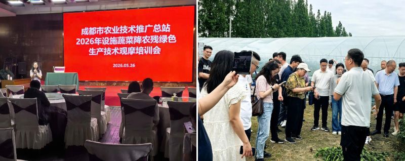 由成都市农技推广总站组织的“0”农残示范观摩会在新津召开