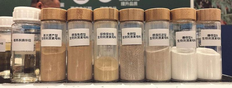 新朝阳亮相ABS 2026:聚焦生物刺激剂创新,助力农业绿色转型